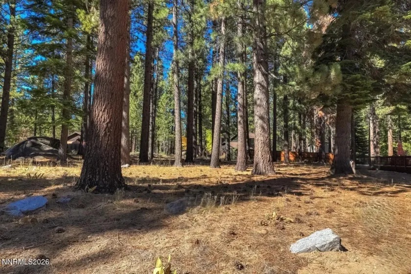 723 Cayuga, South Lake Tahoe, California 96150, ,Land,Residential,Cayuga,0,260012231