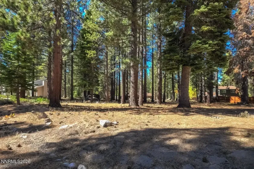 723 Cayuga, South Lake Tahoe, California 96150, ,Land,Residential,Cayuga,0,260012231