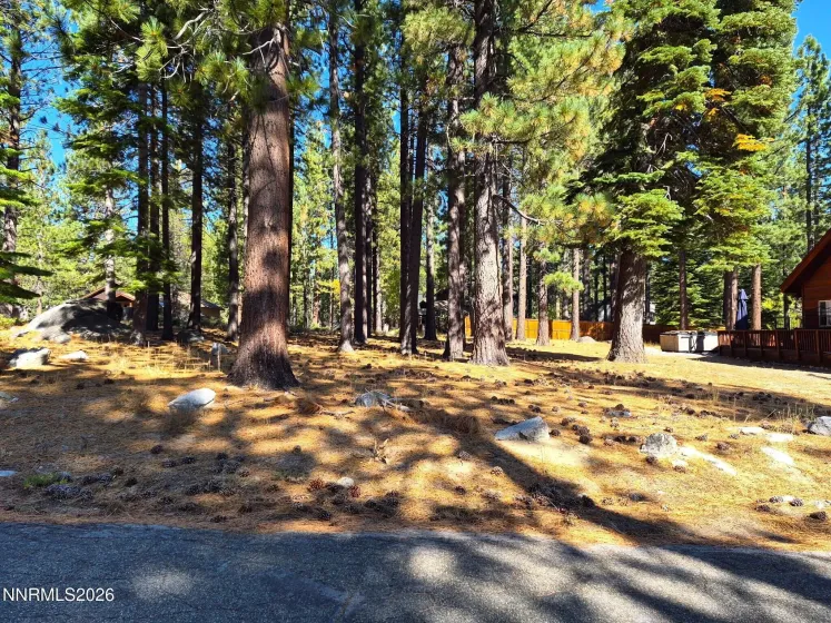 723 Cayuga, South Lake Tahoe, California 96150, ,Land,Residential,Cayuga,0,260012231