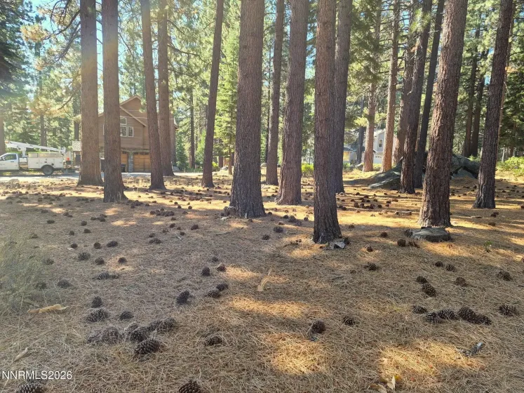 723 Cayuga, South Lake Tahoe, California 96150, ,Land,Residential,Cayuga,0,260012231