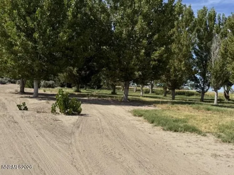 1220 Strasdin, Fallon, Nevada 89406, 4 Bedrooms Bedrooms, ,3 BathroomsBathrooms,Residential,Residential,Strasdin,0,260012236