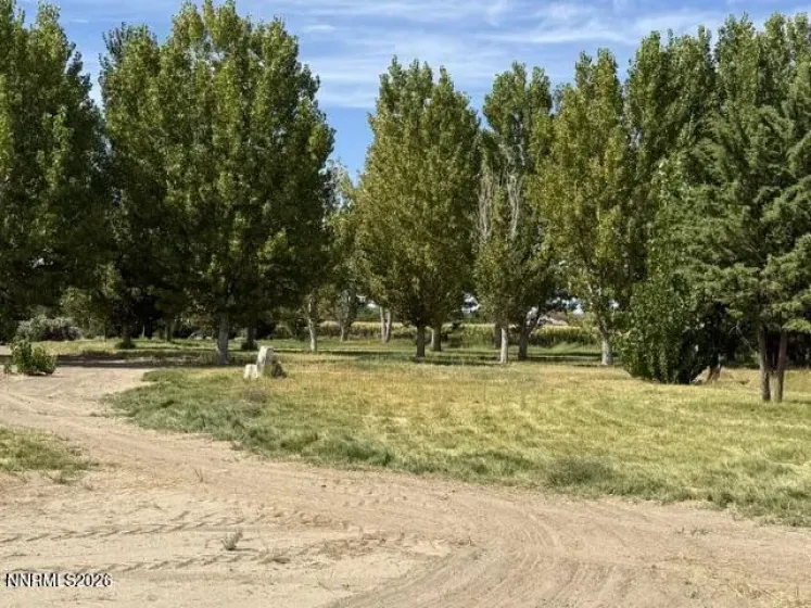 1220 Strasdin, Fallon, Nevada 89406, 4 Bedrooms Bedrooms, ,3 BathroomsBathrooms,Residential,Residential,Strasdin,0,260012236