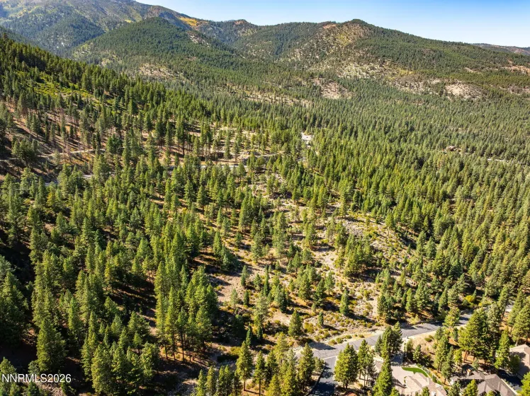 135 Jeffrey Pine, Reno, Nevada 89511, ,Land,Residential,Jeffrey Pine,0,260012238