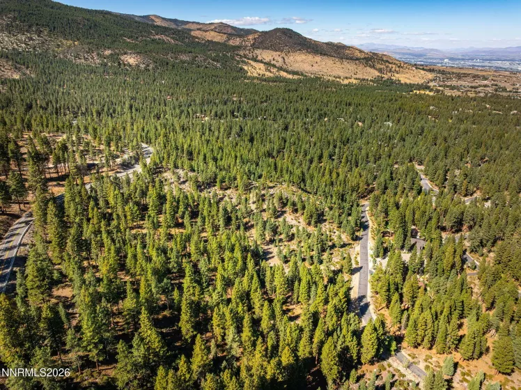 135 Jeffrey Pine, Reno, Nevada 89511, ,Land,Residential,Jeffrey Pine,0,260012238