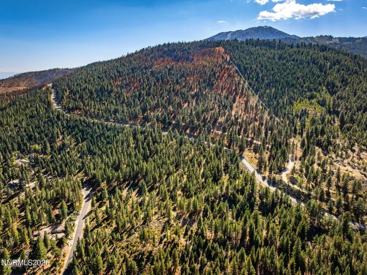 135 Jeffrey Pine, Reno, Nevada 89511, ,Land,Residential,Jeffrey Pine,0,260012238