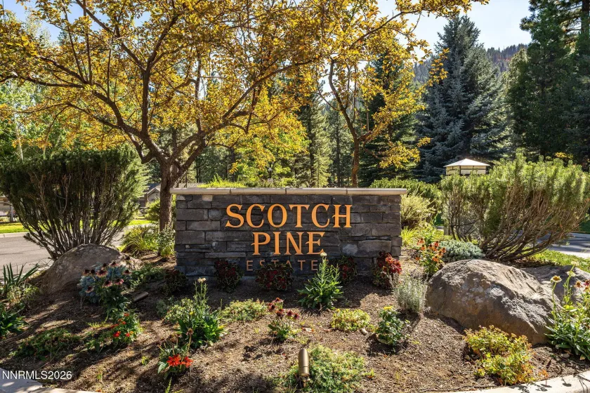 135 Jeffrey Pine, Reno, Nevada 89511, ,Land,Residential,Jeffrey Pine,0,260012238