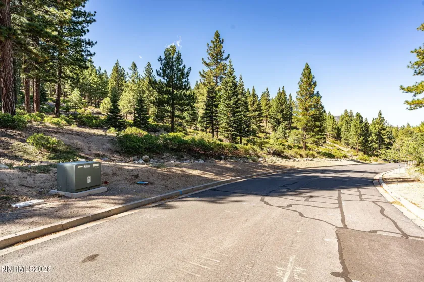 135 Jeffrey Pine, Reno, Nevada 89511, ,Land,Residential,Jeffrey Pine,0,260012238