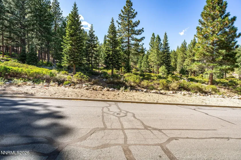 135 Jeffrey Pine, Reno, Nevada 89511, ,Land,Residential,Jeffrey Pine,0,260012238