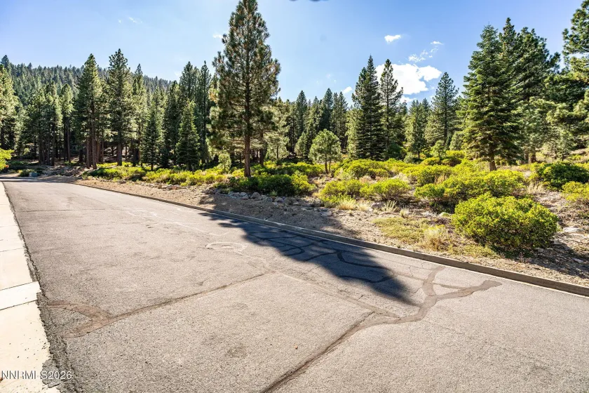 135 Jeffrey Pine, Reno, Nevada 89511, ,Land,Residential,Jeffrey Pine,0,260012238