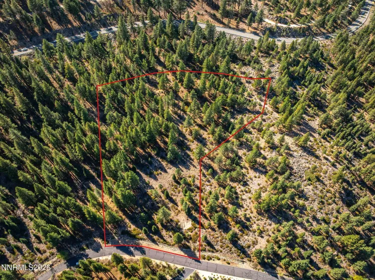 135 Jeffrey Pine, Reno, Nevada 89511, ,Land,Residential,Jeffrey Pine,0,260012238