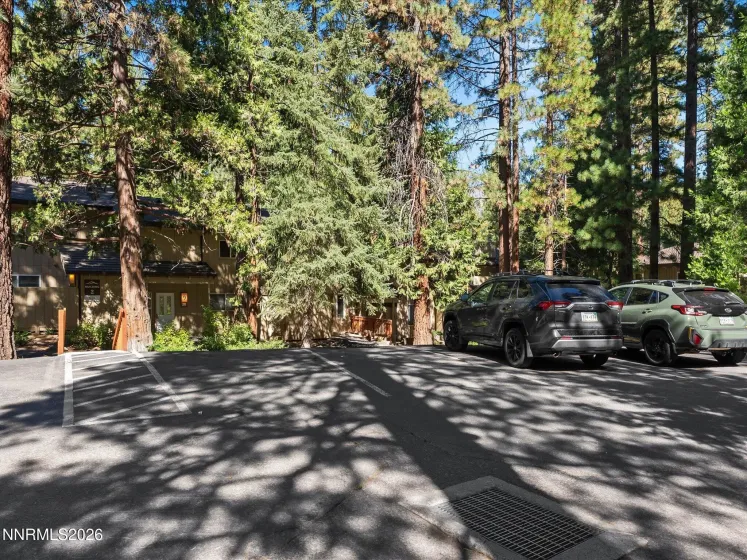 321 Ski, Incline Village, Nevada 89451, 3 Bedrooms Bedrooms, ,3 BathroomsBathrooms,Residential,Residential,Ski,0,260012298