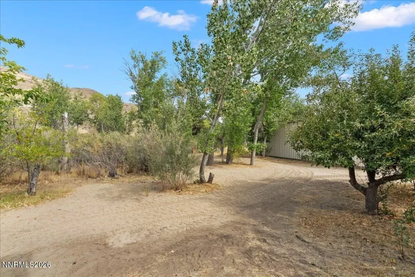 291 Surrey, Reno, Nevada 89521, 3 Bedrooms Bedrooms, ,3 BathroomsBathrooms,Residential,Residential,Surrey,0,260012299