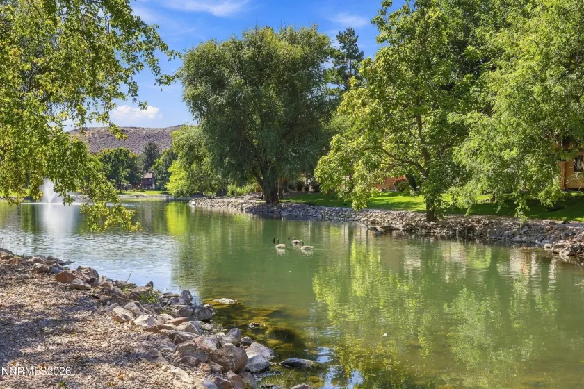 4573 Reggie, Reno, Nevada 89502, 1 Bedroom Bedrooms, ,1 BathroomBathrooms,Residential,Residential,Reggie,0,260012342