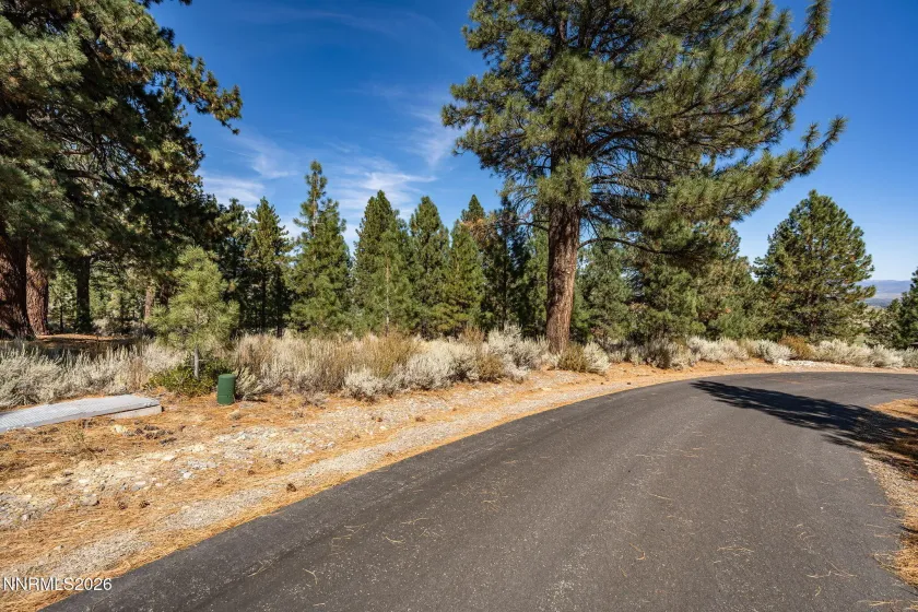 900 Stutler Creek, Gardnerville, Nevada 89460, ,Land,Residential,Stutler Creek,0,260012348