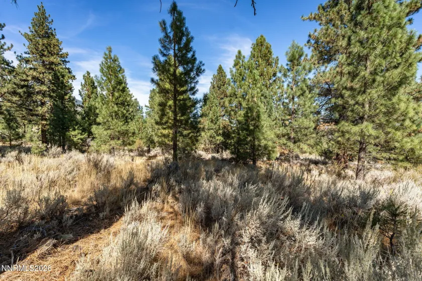 900 Stutler Creek, Gardnerville, Nevada 89460, ,Land,Residential,Stutler Creek,0,260012348