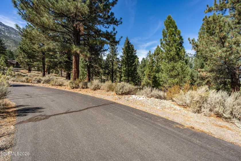 900 Stutler Creek, Gardnerville, Nevada 89460, ,Land,Residential,Stutler Creek,0,260012348