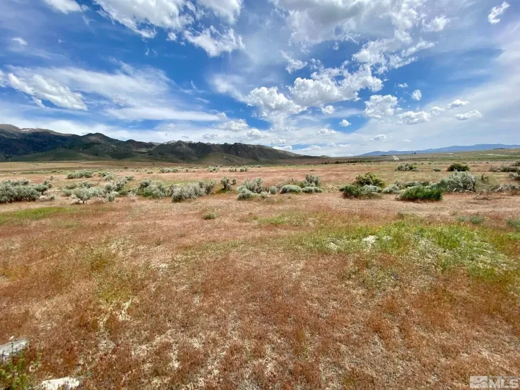 11160 Thor, Lovelock, Nevada 89419, ,Land,Residential,Thor,0,260012356
