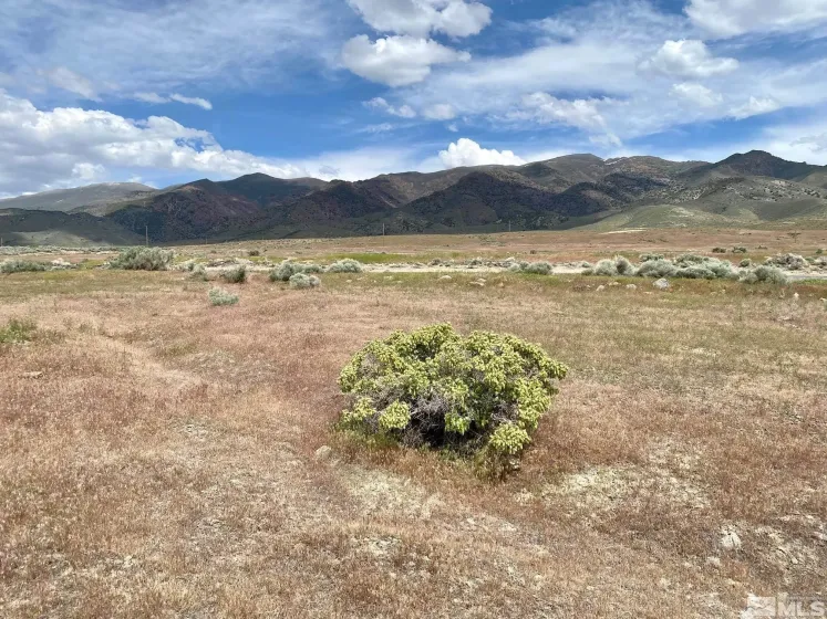 11160 Thor, Lovelock, Nevada 89419, ,Land,Residential,Thor,0,260012356