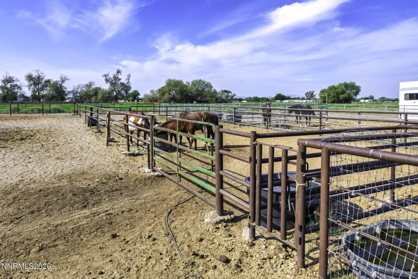 Holding pens at end of arena