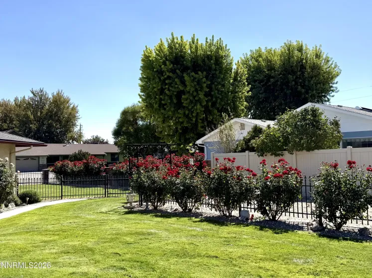 17 Maple, Yerington, Nevada 89447, 3 Bedrooms Bedrooms, ,2 BathroomsBathrooms,Residential,Residential,Maple,0,260012445