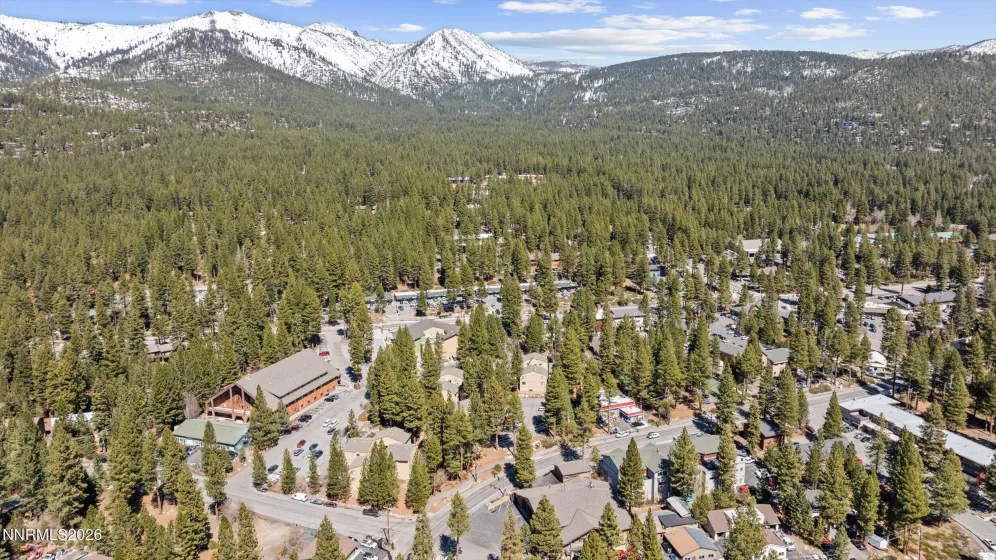 Aerial