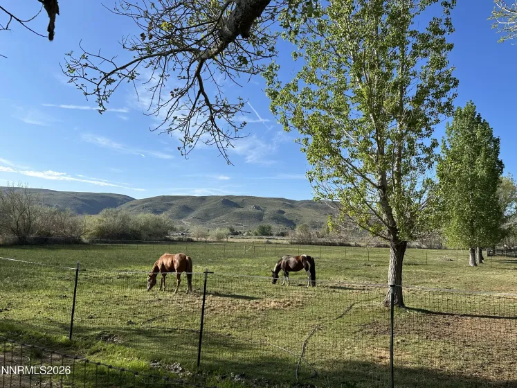 305 Rowel, Reno, Nevada 89508, 3 Bedrooms Bedrooms, ,2 BathroomsBathrooms,Residential,Residential,Rowel,0,260012462