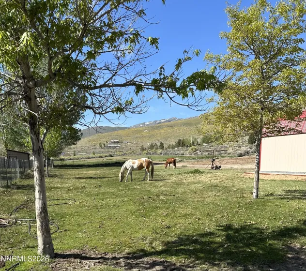 305 Rowel, Reno, Nevada 89508, 3 Bedrooms Bedrooms, ,2 BathroomsBathrooms,Residential,Residential,Rowel,0,260012462
