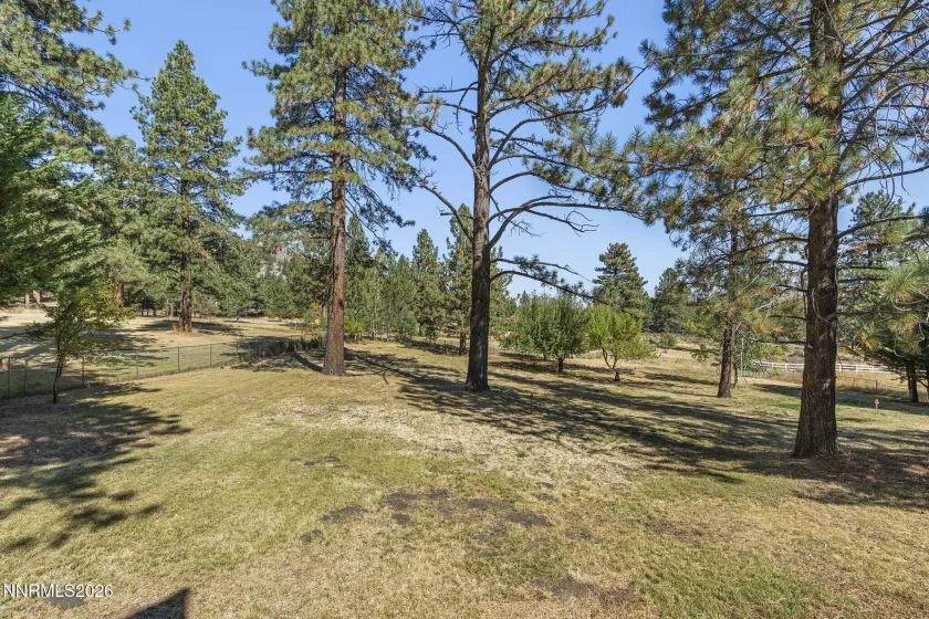 4200 Numaga Pass, Carson City, Nevada 89703, 3 Bedrooms Bedrooms, ,4 BathroomsBathrooms,Residential,Residential,Numaga Pass,0,260012499