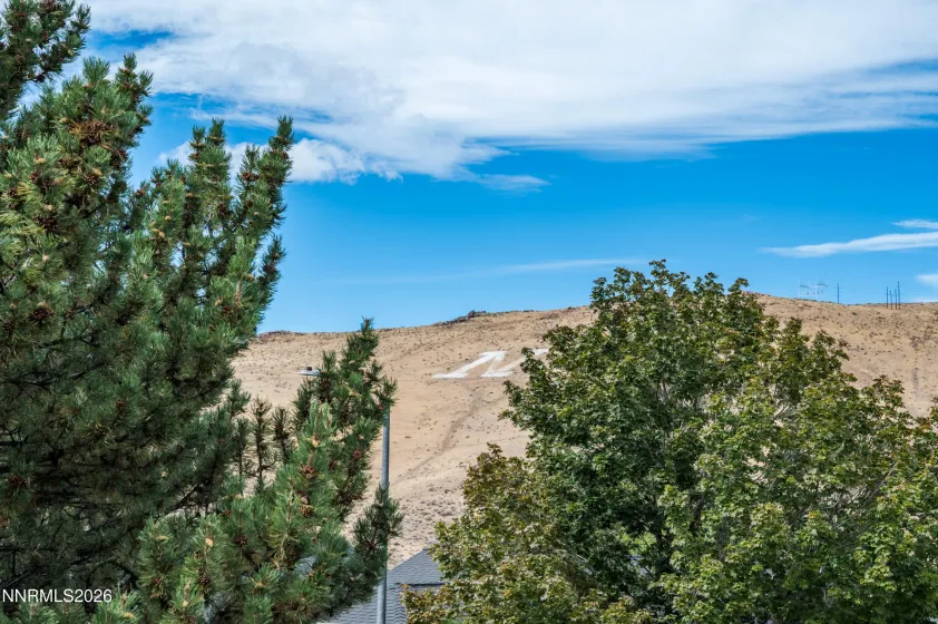 3380 Adler, Reno, Nevada 89503, 3 Bedrooms Bedrooms, ,3 BathroomsBathrooms,Residential,Residential,Adler,0,260012544