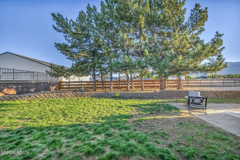 795 Jacks Valley, Carson City, Nevada 89705, 3 Bedrooms Bedrooms, ,2 BathroomsBathrooms,Residential,Residential,Jacks Valley,0,260012566