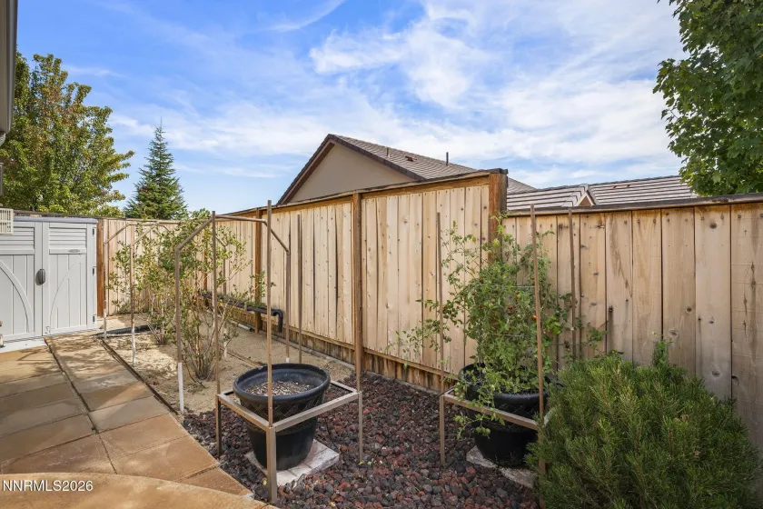 Side Yard