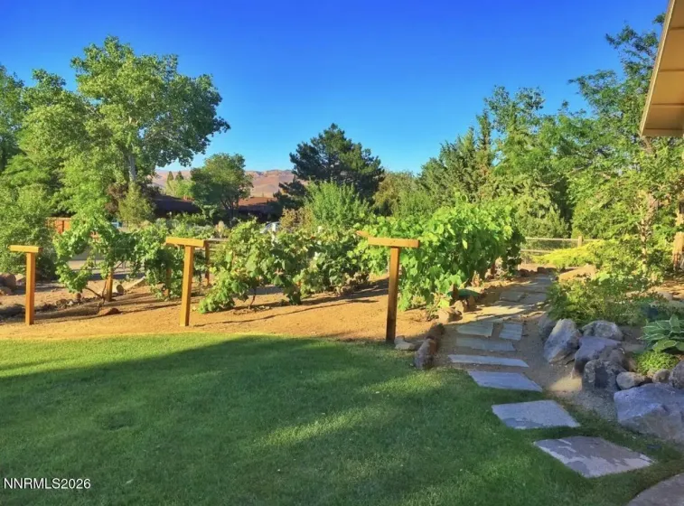 15020 Edmands, Reno, Nevada 89511, 5 Bedrooms Bedrooms, ,3 BathroomsBathrooms,Residential,Residential,Edmands,0,260012694