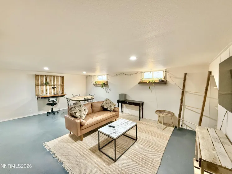 Basement living room