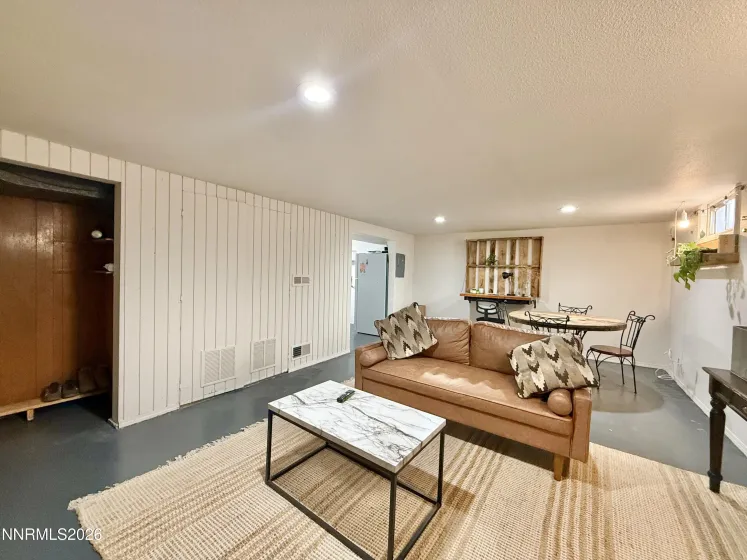 Basement living room