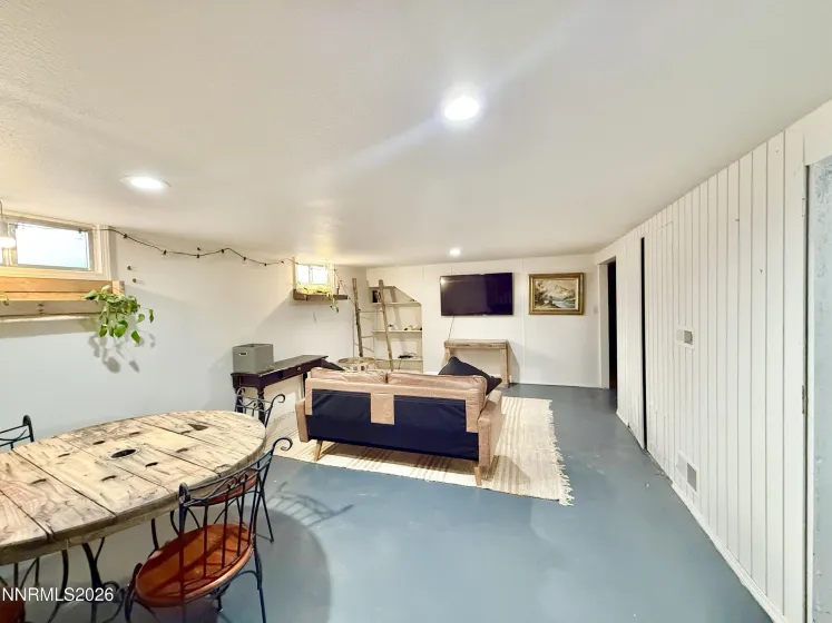 Basement living room