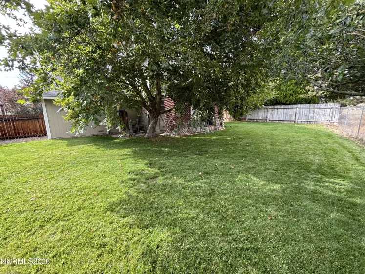 8084 Dixon, Reno, Nevada 89511, 3 Bedrooms Bedrooms, ,3 BathroomsBathrooms,Residential,Residential,Dixon,0,260012845