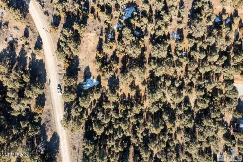 1801 Harte, Reno, Nevada 89521, ,Land,Residential,Harte,0,260012851