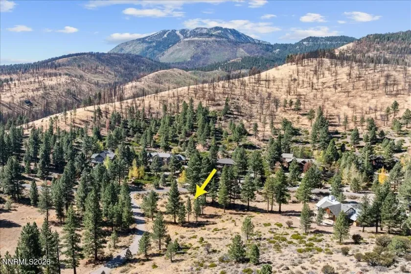 49 Bennington, Reno, Nevada 89511, ,Land,Residential,Bennington,0,260012865