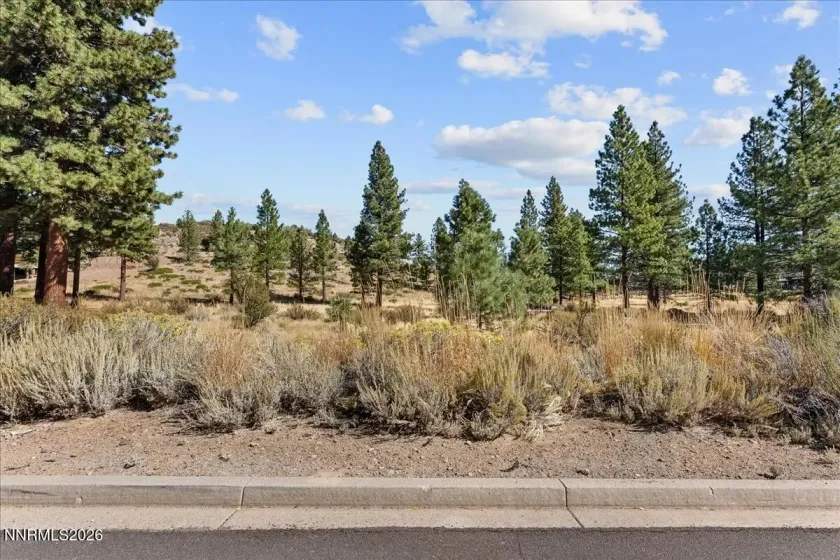 49 Bennington, Reno, Nevada 89511, ,Land,Residential,Bennington,0,260012865