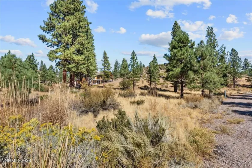 49 Bennington, Reno, Nevada 89511, ,Land,Residential,Bennington,0,260012865