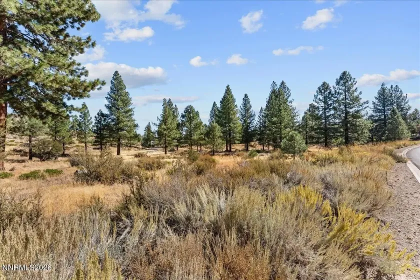 49 Bennington, Reno, Nevada 89511, ,Land,Residential,Bennington,0,260012865