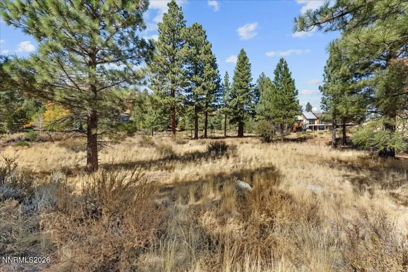 49 Bennington, Reno, Nevada 89511, ,Land,Residential,Bennington,0,260012865