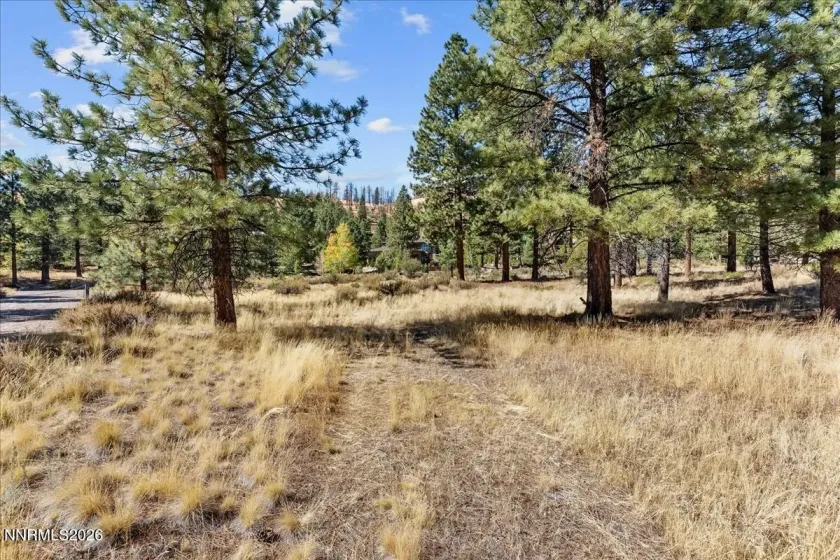 49 Bennington, Reno, Nevada 89511, ,Land,Residential,Bennington,0,260012865