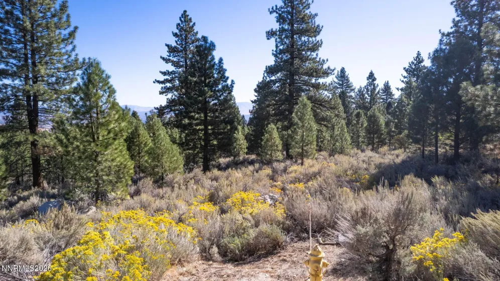221 Rubicon, Gardnerville, Nevada 89460, ,Land,Residential,Rubicon,0,260012872