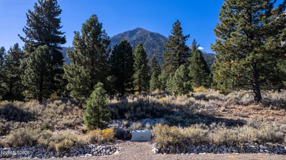 221 Rubicon, Gardnerville, Nevada 89460, ,Land,Residential,Rubicon,0,260012872