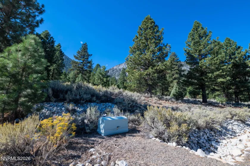 221 Rubicon, Gardnerville, Nevada 89460, ,Land,Residential,Rubicon,0,260012872