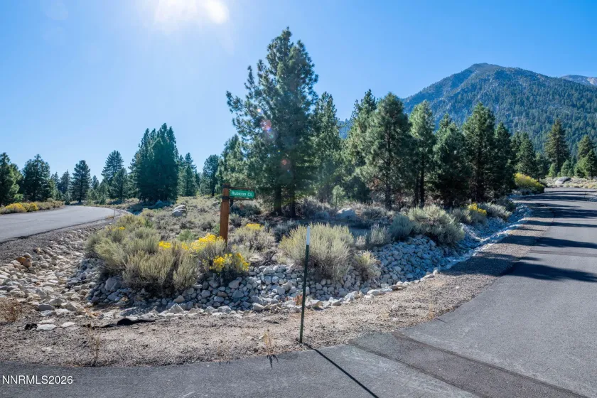 221 Rubicon, Gardnerville, Nevada 89460, ,Land,Residential,Rubicon,0,260012872