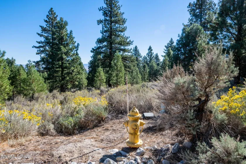 221 Rubicon, Gardnerville, Nevada 89460, ,Land,Residential,Rubicon,0,260012872