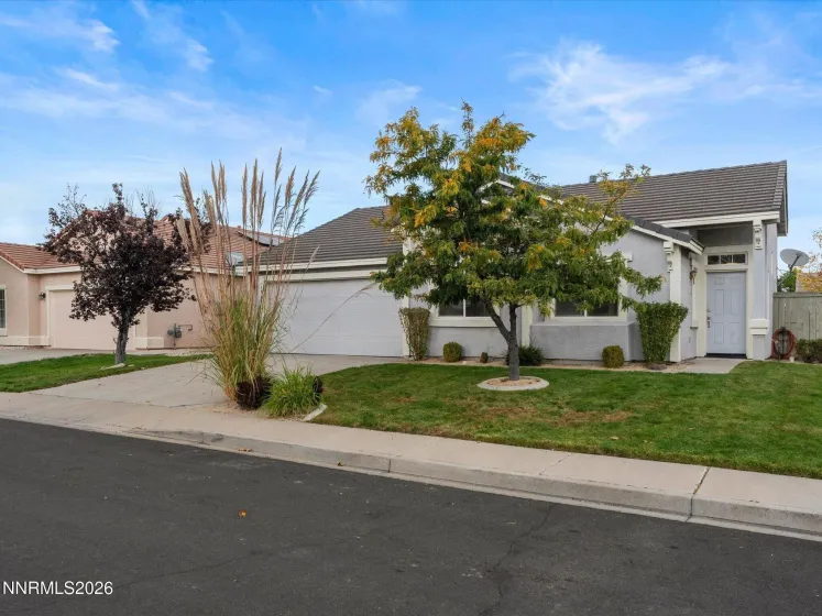 1865 San Lorenzo, Reno, Nevada 89521, 3 Bedrooms Bedrooms, ,2 BathroomsBathrooms,Residential,Residential,San Lorenzo,0,260012877