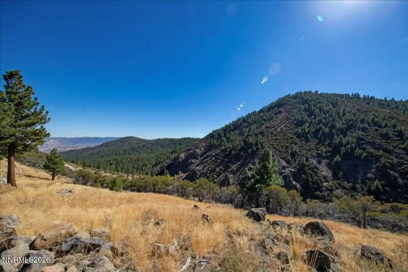 16480 Logan Meadow, Reno, Nevada 89511, 2 Bedrooms Bedrooms, ,1 BathroomBathrooms,Residential,Residential,Logan Meadow,0,260012882